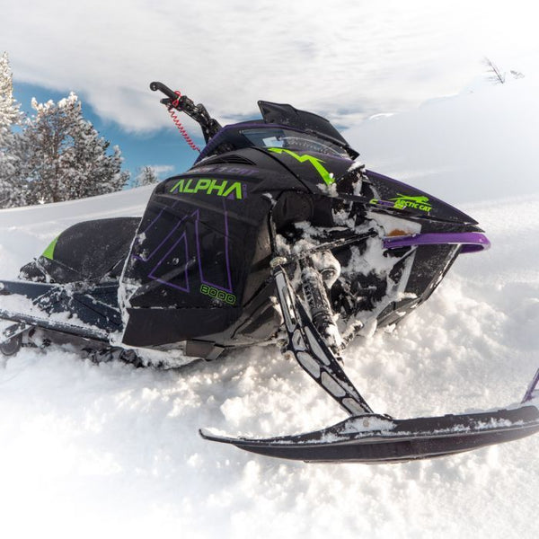 ICEAGE Alpha Elevate – CV Customs